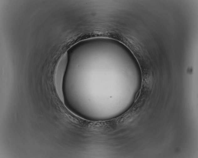 X0000090610817200707311220