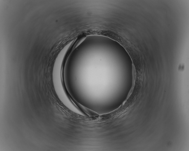 X0000090610818200707311220