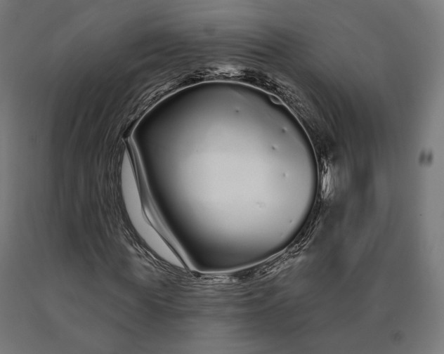 X0000090610819200707311220