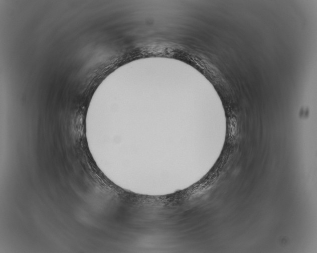 X0000090610820200707311220