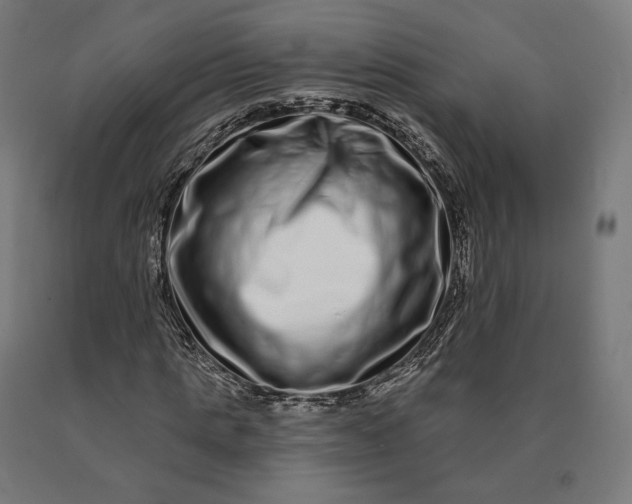 X0000090610821200707311220