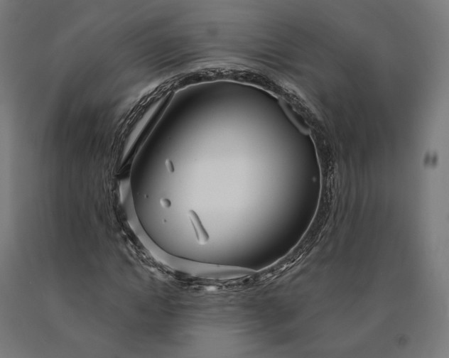 X0000090610822200707311220