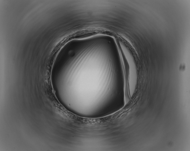 X0000090610823200707311220