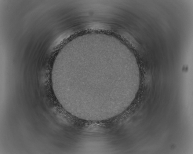 X0000090610824200707311220