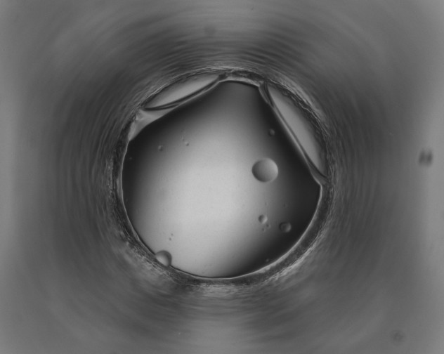 X0000090610825200707311220