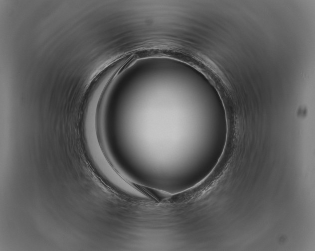 X0000090610826200707311220