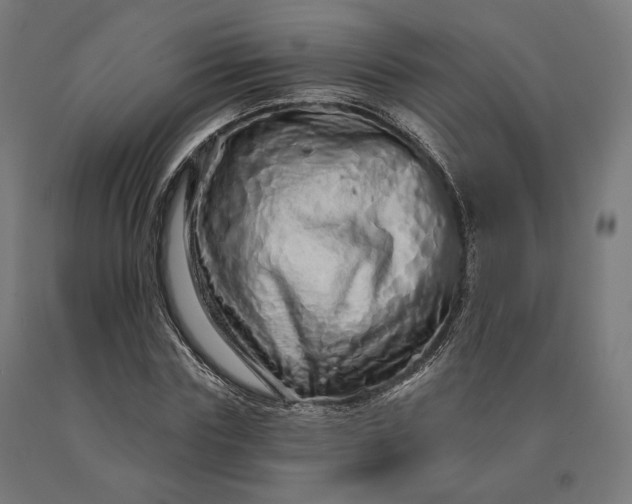 X0000090610827200707311220