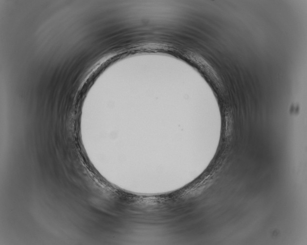 X0000090610828200707311220