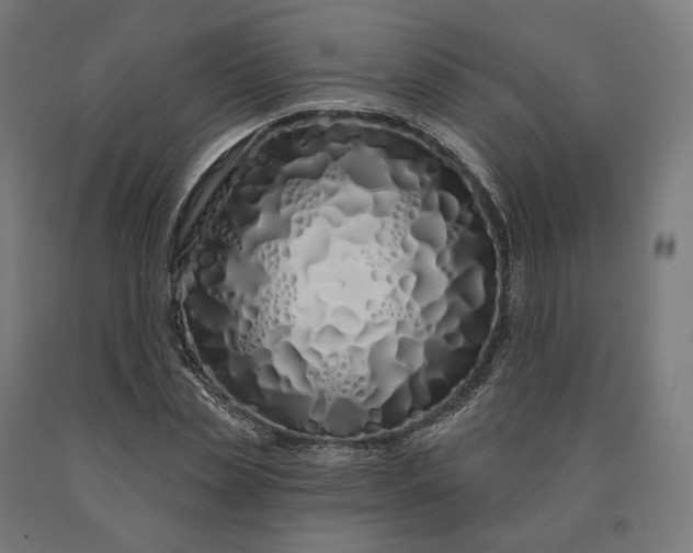 X0000090610829200707311220