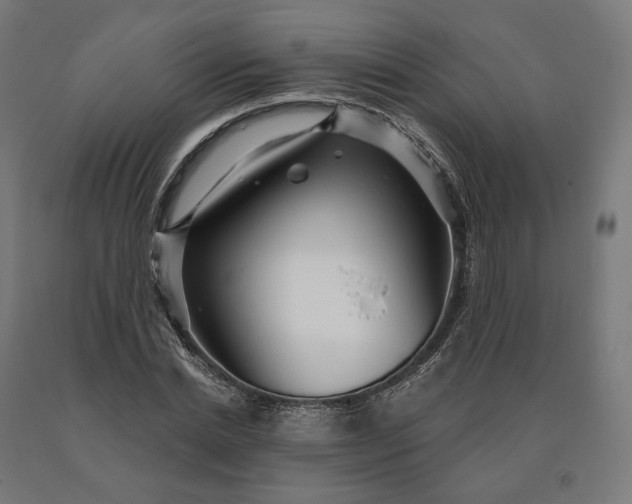 X0000090610830200707311220