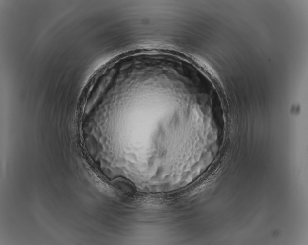 X0000090610831200707311220