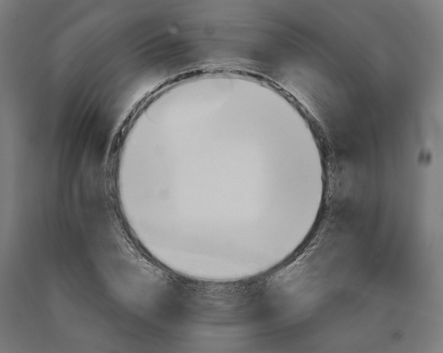 X0000090610832200707311220