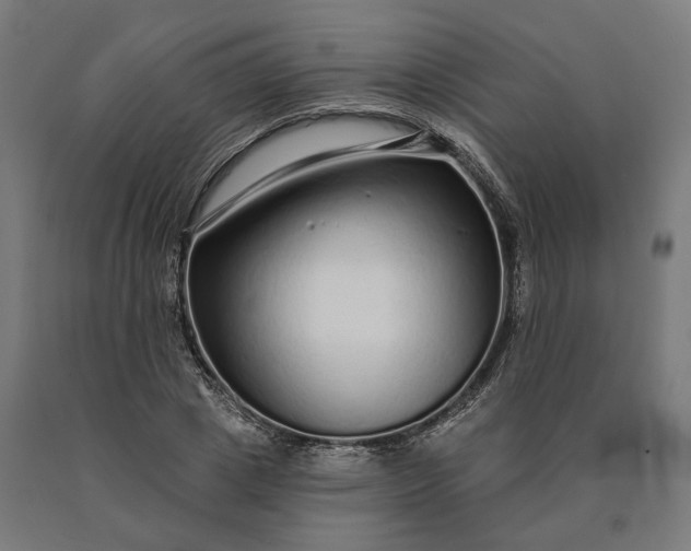 X0000090610833200707311220