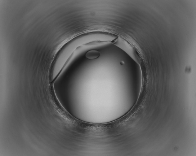 X0000090610834200707311220