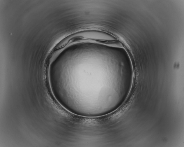 X0000090610835200707311220