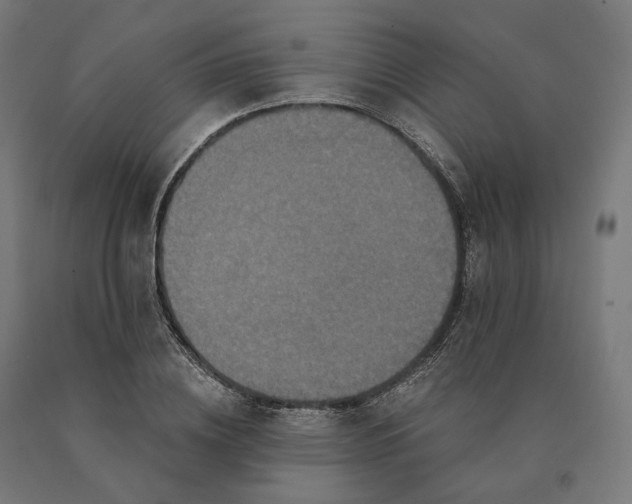 X0000090610836200707311220