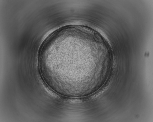 X0000090610837200707311220