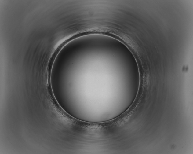 X0000090610838200707311221