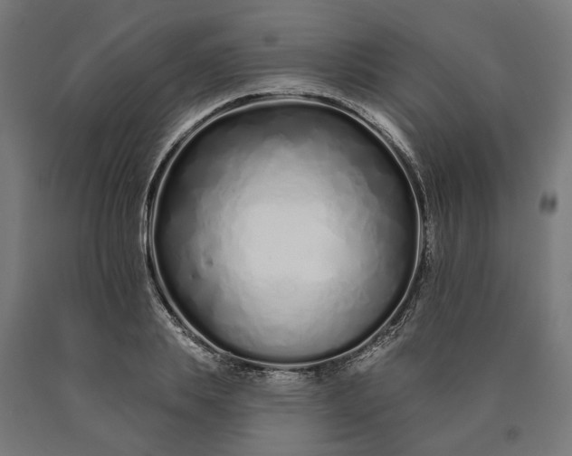 X0000090610839200707311221