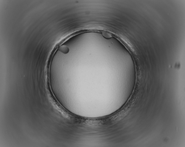 X0000090610840200707311221