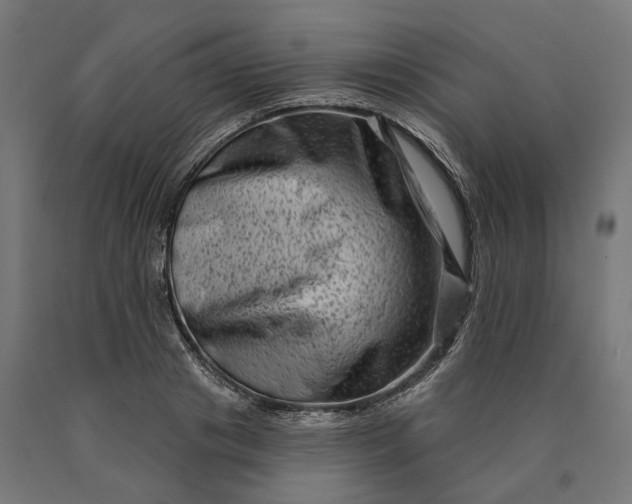 X0000090610841200707311221