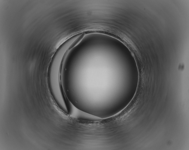 X0000090610842200707311221