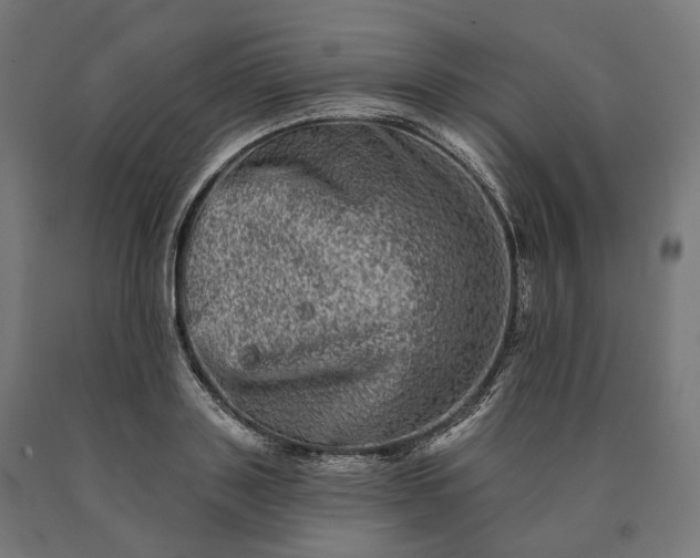 X0000090610843200707311221