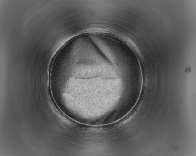 X0000090610844200707311221