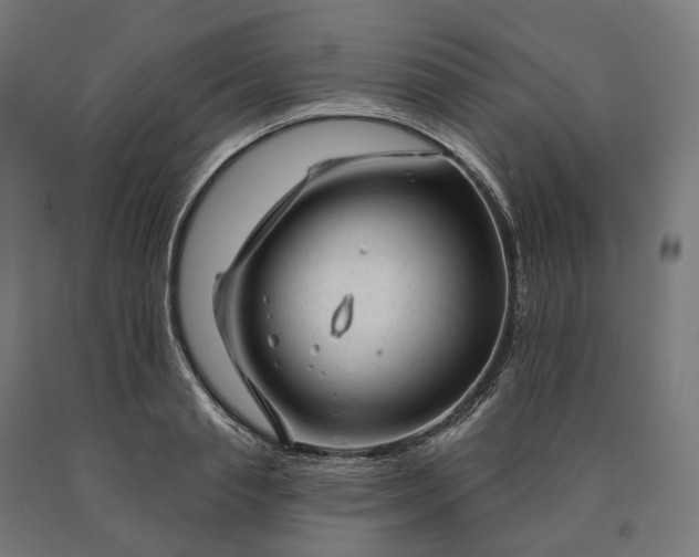 X0000090610845200707311221