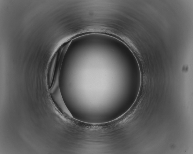 X0000090610846200707311221