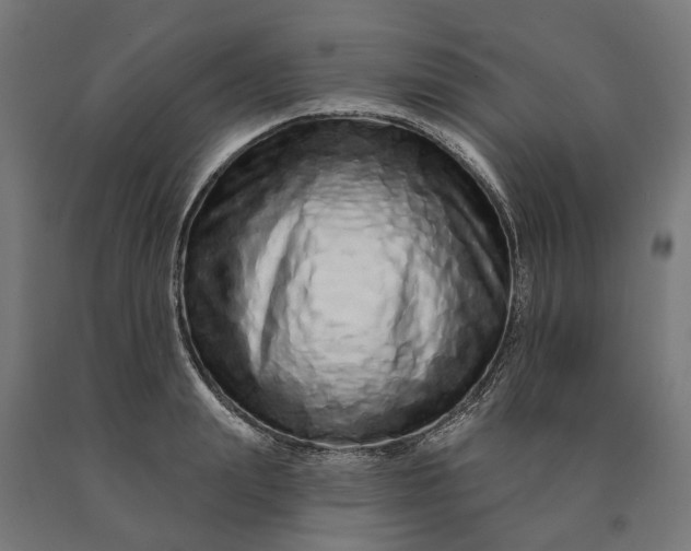 X0000090610847200707311221