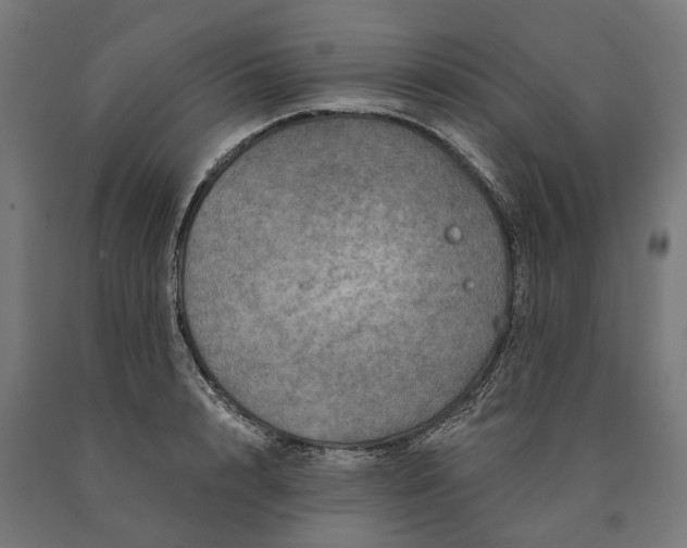 X0000090610848200707311221