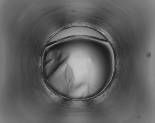 X0000090610849200707311221