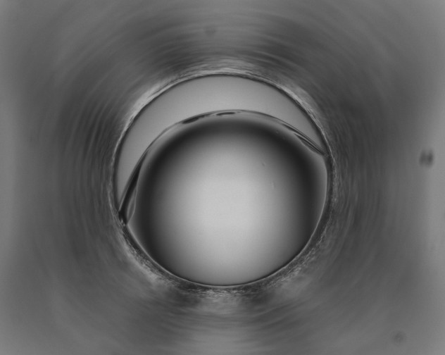 X0000090610850200707311221