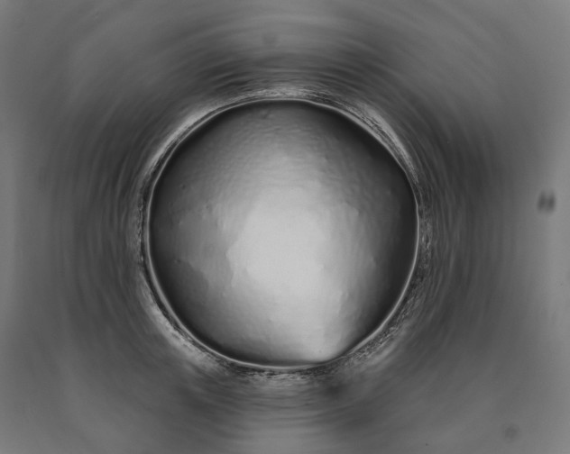 X0000090610851200707311221