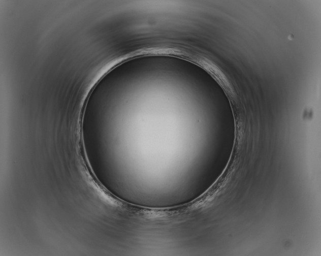 X0000090610852200707311221