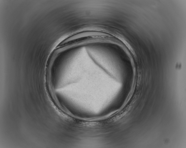 X0000090610853200707311221