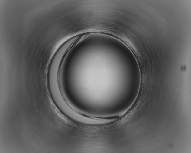 X0000090610854200707311221