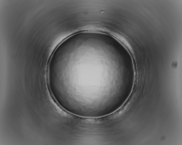 X0000090610855200707311221