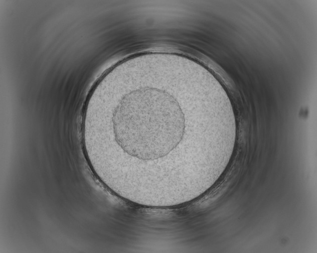 X0000090610856200707311221