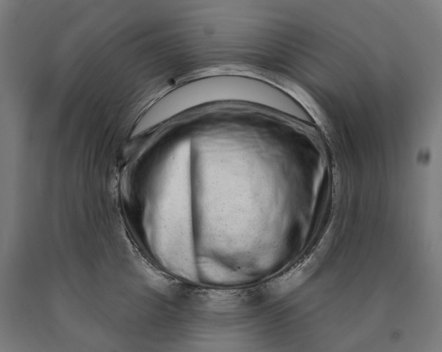 X0000090610857200707311221