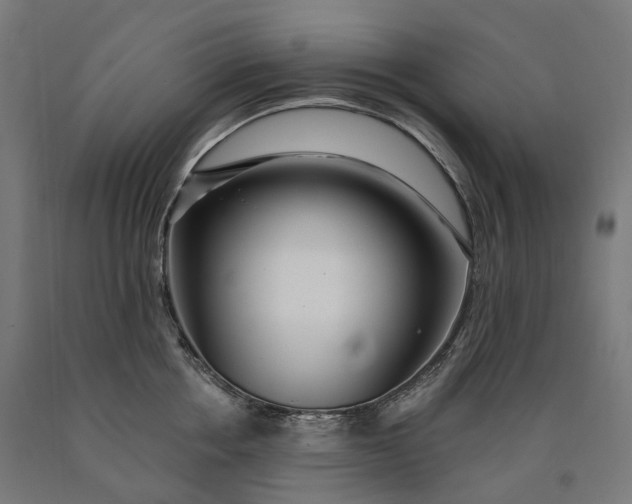 X0000090610858200707311221