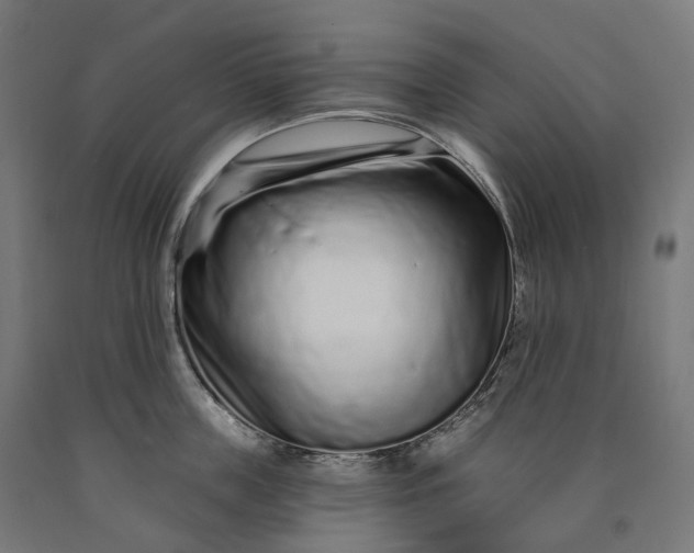 X0000090610859200707311221