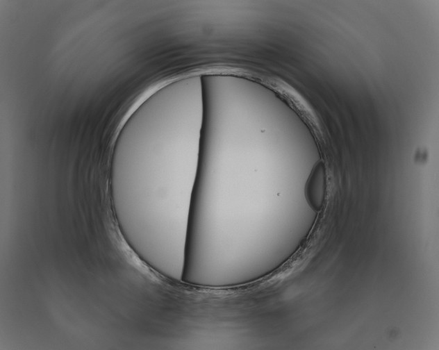 X0000090610860200707311221