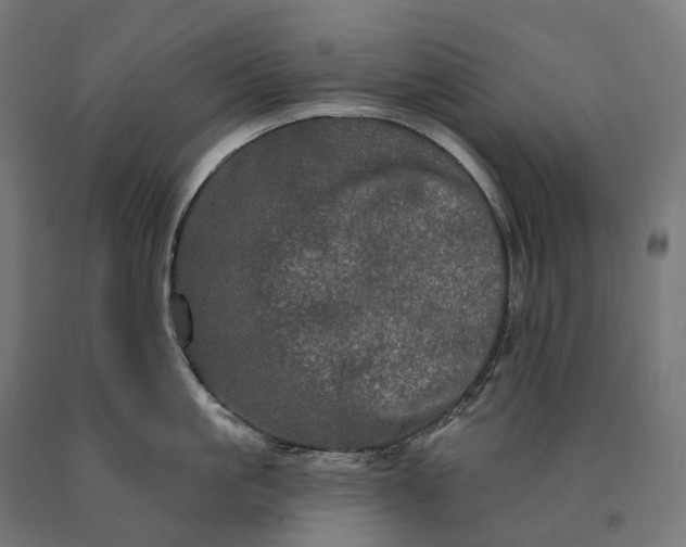 X0000090610861200707311221