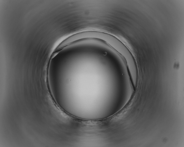 X0000090610862200707311221