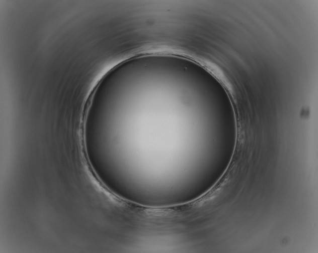 X0000090610863200707311221