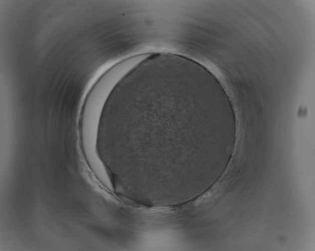 X0000090610864200707311221