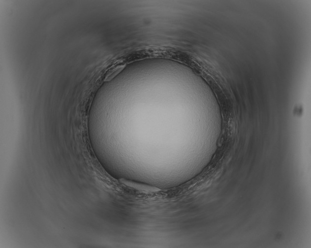 X0000090610865200707311220