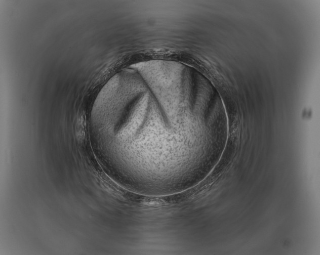 X0000090610866200707311220